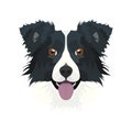 Illustration dog`s head Border Collie